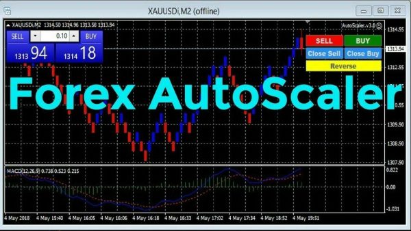 AUTOSCALER VERSION 3.0 WITH BONUSES EA Unlimited MT4 - Image 3